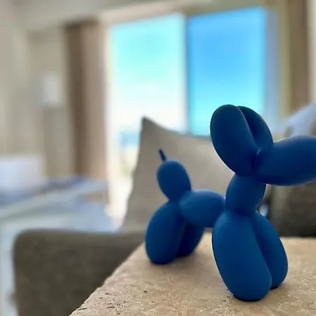 Appartamento Splendide Vue Mer, Proche Centre